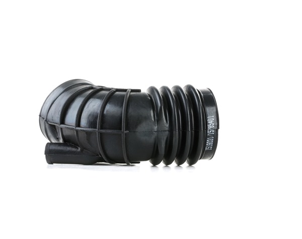 Intake pipe, air filter RIDEX 1591I0030 suitable for BMW at cheap price
