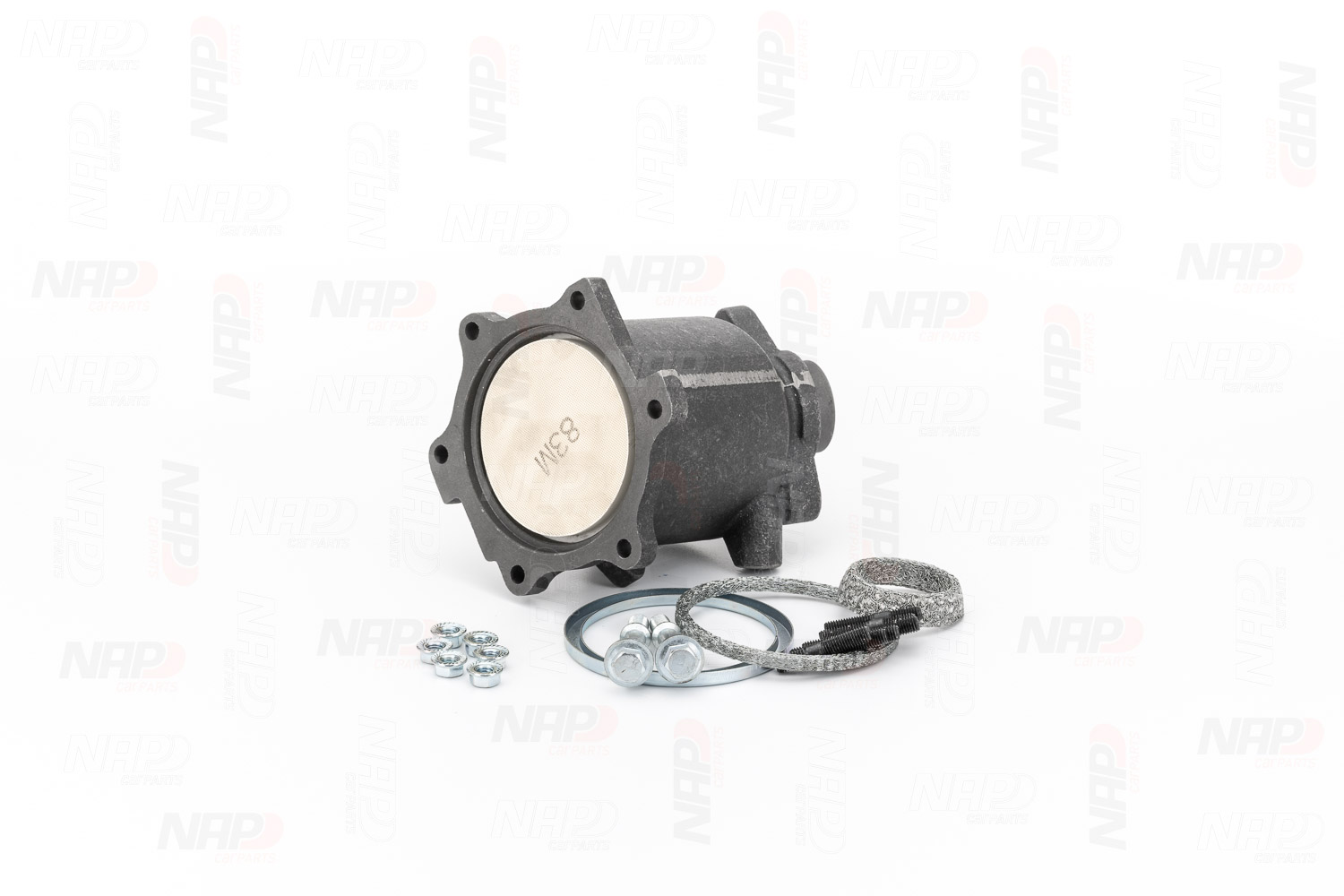 NAP carparts Katalysaattori CAK10192