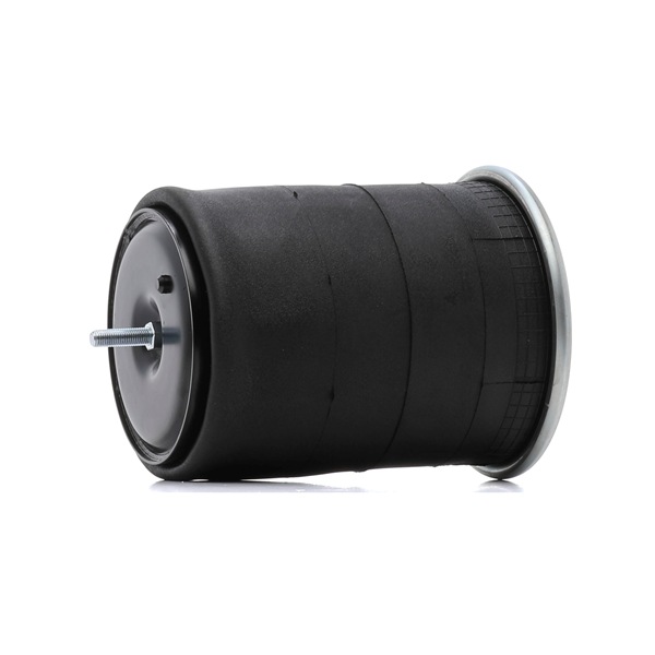 1731113 OE RIDEX Oro pagalvės 4119A0052