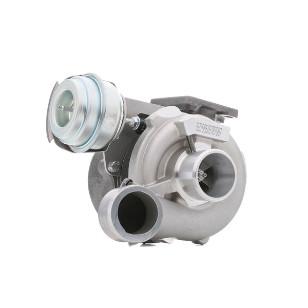 RIDEX 2234C10019 Turbina FIAT STILO Multi Wagon (192) 1.9 JTD Diesel 115 CV 2008 prezzo