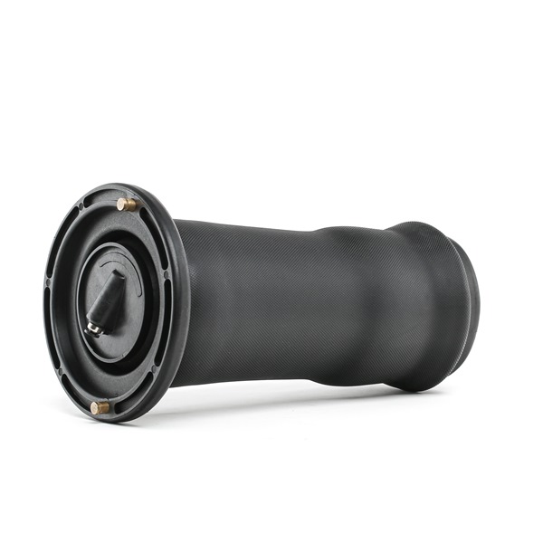 RIDEX RKB101200 Ilmajousi 4119A0053