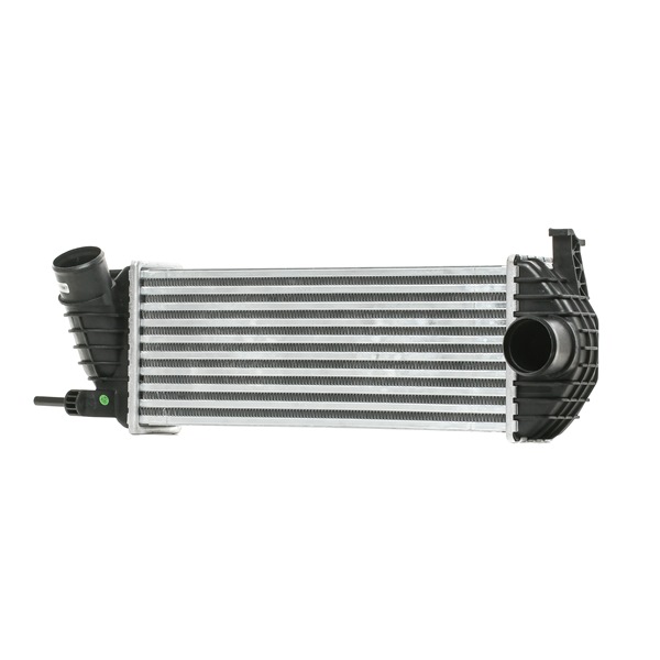 RIDEX 468I0142 Turbo intercooler RENAULT Kangoo I Express (FC) 1.5 dCi Gasóleo 68 cv 2024 precio