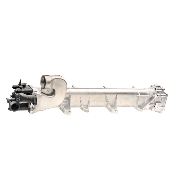 RIDEX REMAN 51081007063 EGR-moduuli 4198E0013R