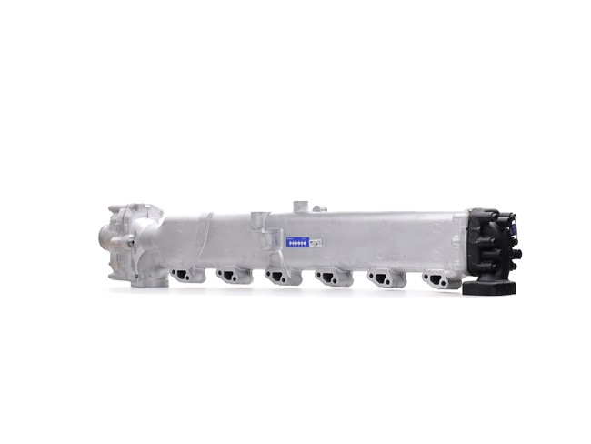 51081007136 OE RIDEX REMAN ERG modulis 4198E0014R