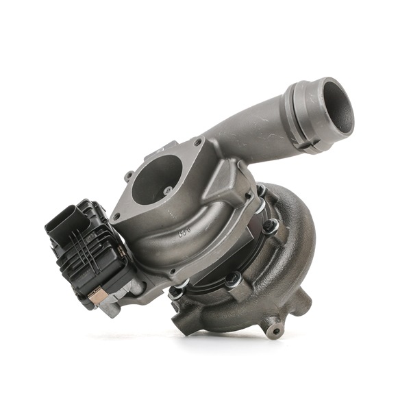 144111AT1A OE RIDEX REMAN Turbocharger 2234C10076R