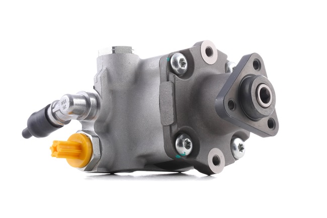 RIDEX 12H0247 Servopump BMW X3 (E83) xDrive18d 2.0 Diesel 136 hk 2011 pris
