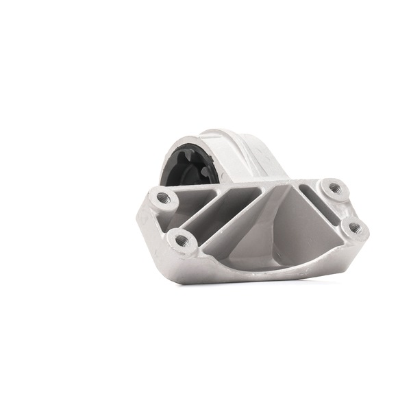 4813909 OE RIDEX Variklio montavimas 247E0510