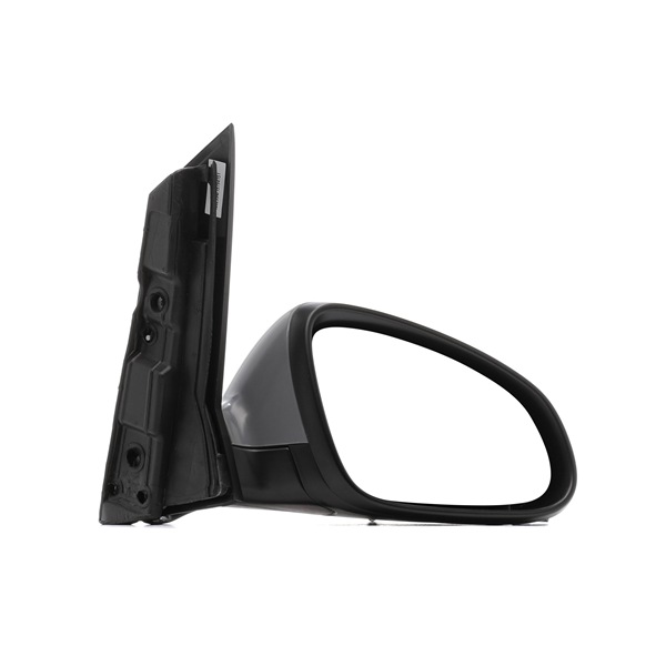 RIDEX 13265452 Buitenspiegel