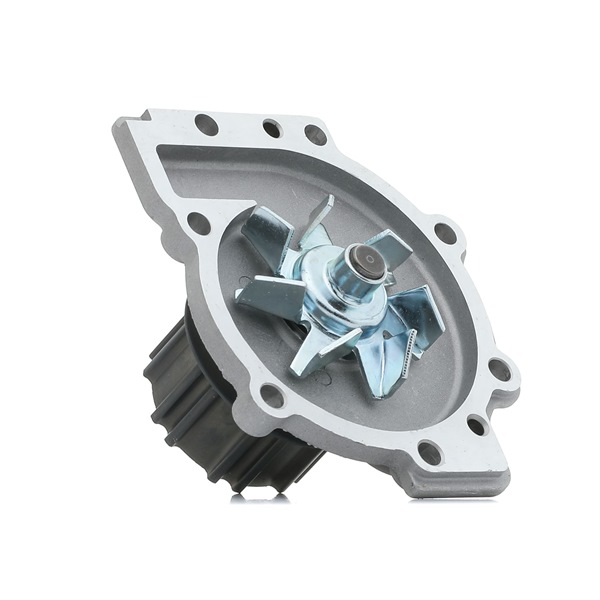 272482 OE RIDEX Vandens siurblys 1260W0405