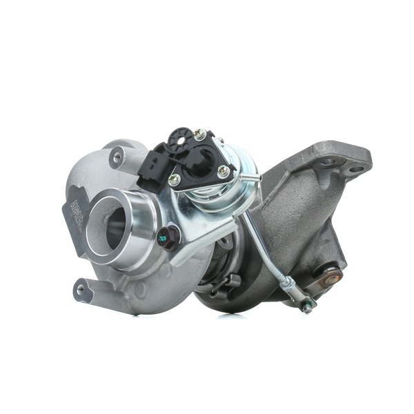 RIDEX 2234C10087 Turboahdin FORD C-Max 2 (DXA/CB7, DXA/CEU) 1.6 TDCi Diesel 95 hv 2016