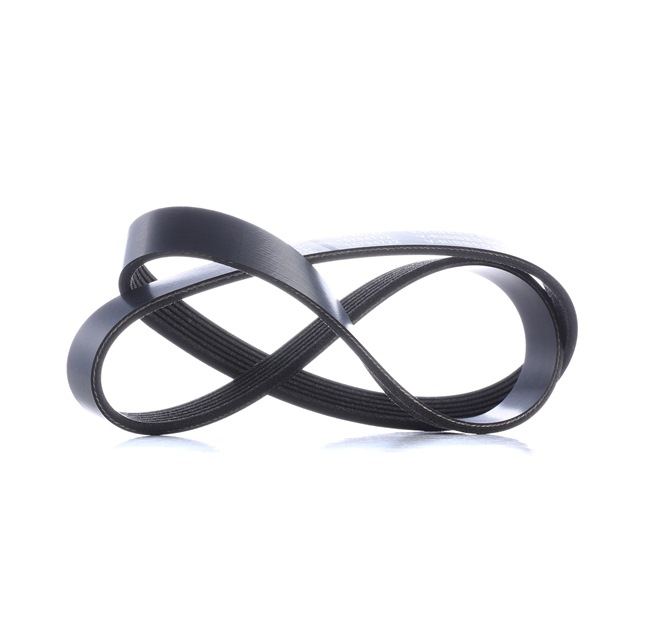 Correa trapecial poli V 1843795 STARK SKPB-0090325