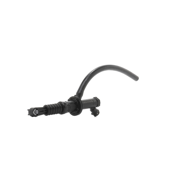 306100018R OE RIDEX Pagrindinis cilindras, sankaba 234M0177