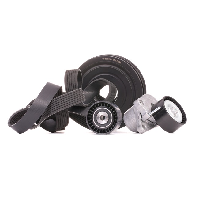 RIDEX 542R0546 Multiriem set Renault Trafic JL 2.0 dCi 90 Diesel 90 Pk 2022 kosten