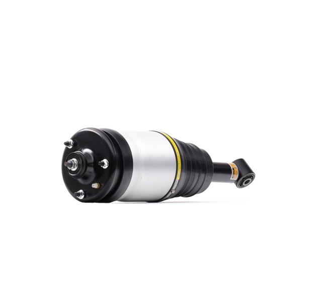RPD501030 OE RIDEX Amortisseur pneumatique 4118A0068