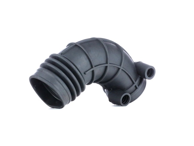 RIDEX 1591I0037 Sesalna cev, zracni filter BMW 5 Sedan (E34) 520 i 24V Bencin 150 km 1995