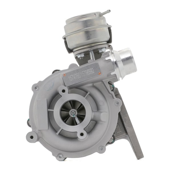 RIDEX 2234C10121 Turbo para motor RENAULT MASTER 3 Kasten (FV) 2.3 dCi 125 RWD (FV0C, FV0D, FV0H, FV0J, FV0A, FV0K) Gasóleo 125 cv 2023 precio
