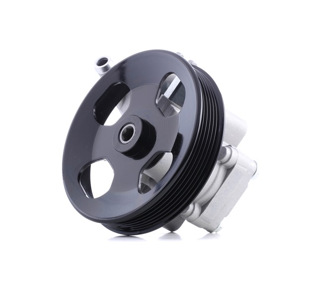 RIDEX 12H0259 Servopumpe HYUNDAI SONATA IV (EF) 2.7 V6 Benzin 173 HK 2004 pris