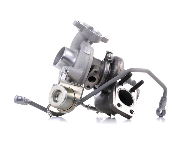 STARK SKCT-1190646 Turbina FORD C-Max (DM2) 1.6 TDCi Diesel 90 CV 2009 prezzo