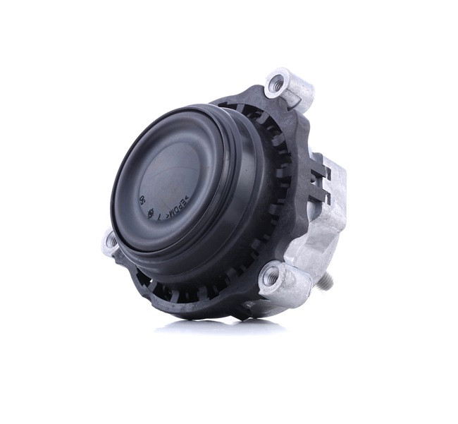 RIDEX 247E0542 Supporto motore BMW 3 Sedan (F30, F80) 316 d Diesel 116 CV 2018 prezzo