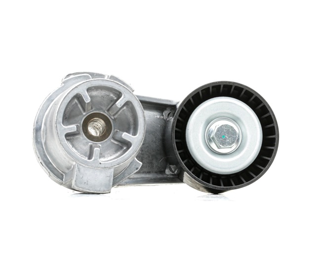 RIDEX 7599097 Spanrol, poly V-riem