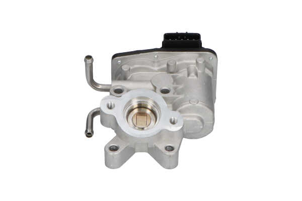 KAVO PARTS EEG8003 EGR klep Subaru LEGACY 2008
