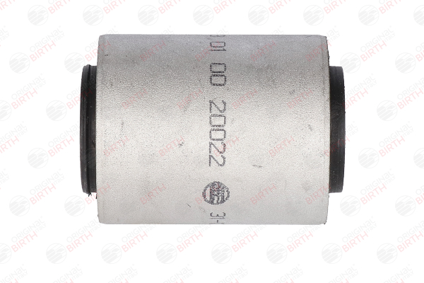20022 BIRTH A1663330100 Lagerung, Lenker