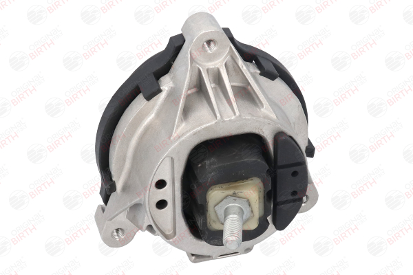 BIRTH 53357 Motorsteun F30 318 i Benzine 136 Pk 2016 kosten