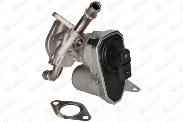 BIRTH 90060 AGR Ventil CITROËN Jumper II Pritsche/Fahrgestell (250) 2.2 HDi Diesel 101 PS 2019