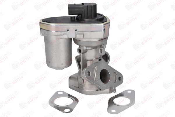 Egr venttiili BIRTH 90063