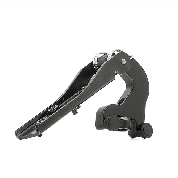 TOPRAN 701 774 RENAULT Autotür (Ersatzteil) kaufen