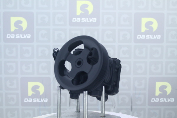 DA SILVA Stuurbekrachtigingspomp DP3702