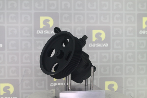 DA SILVA Stuurbekrachtigingspomp DP3708