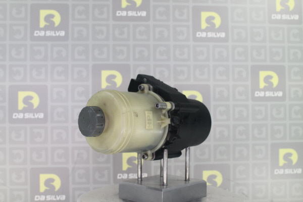 DA SILVA Servopump DP5013
