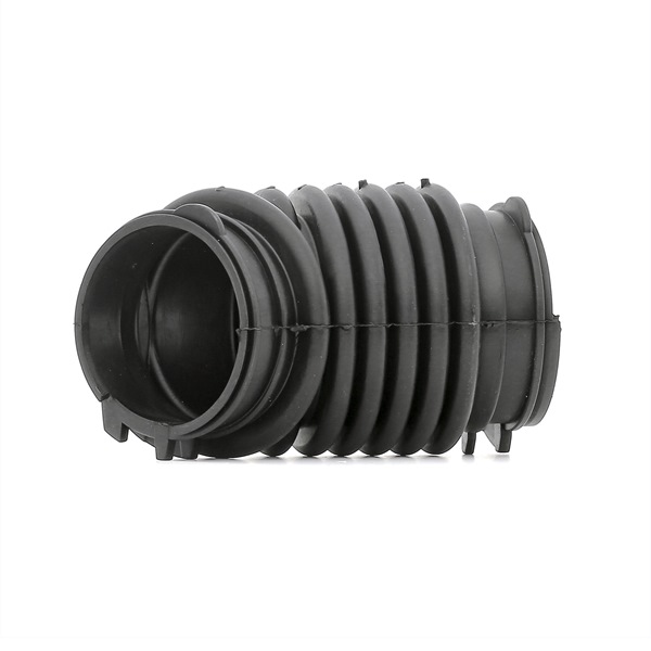1684286 OE RAPRO Sugeslange, luftfilter R16267