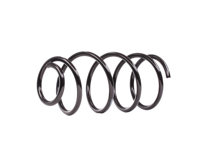DACO Germany 801026 hinten und vorne Federn FORD Focus Mk2 Kasten / Kombi Kosten
