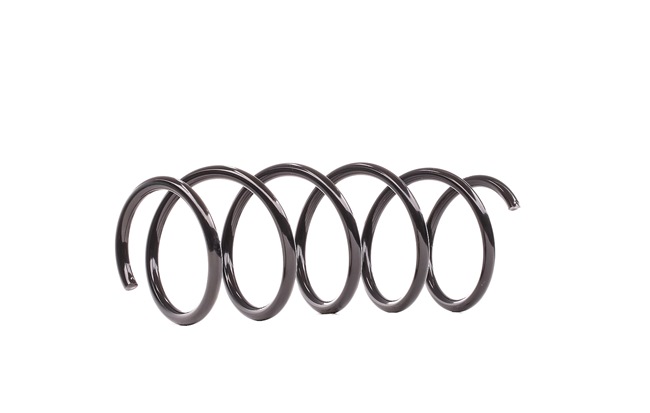 DACO Germany 801703 hinten und vorne Federn KIA PREGIO Kosten