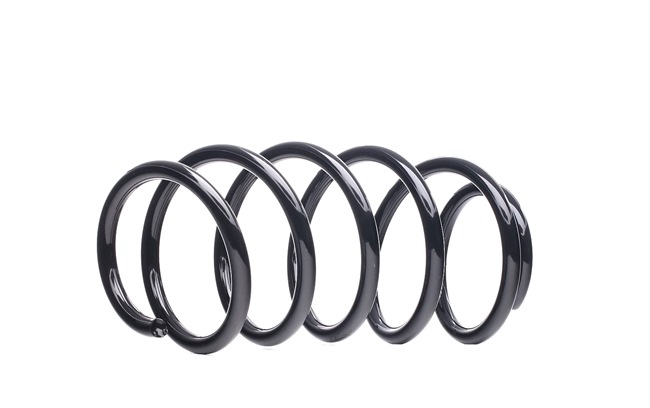 312290 OE DACO Germany Coil spring 802790