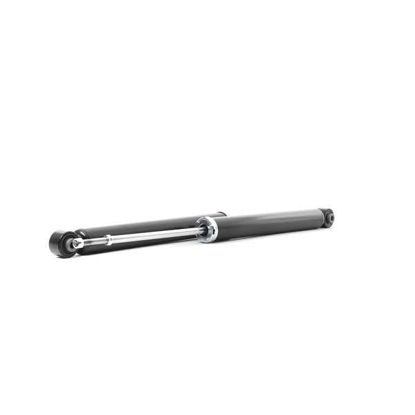 854S17919 RIDEX E62101KC1B Stoßdämpfer
