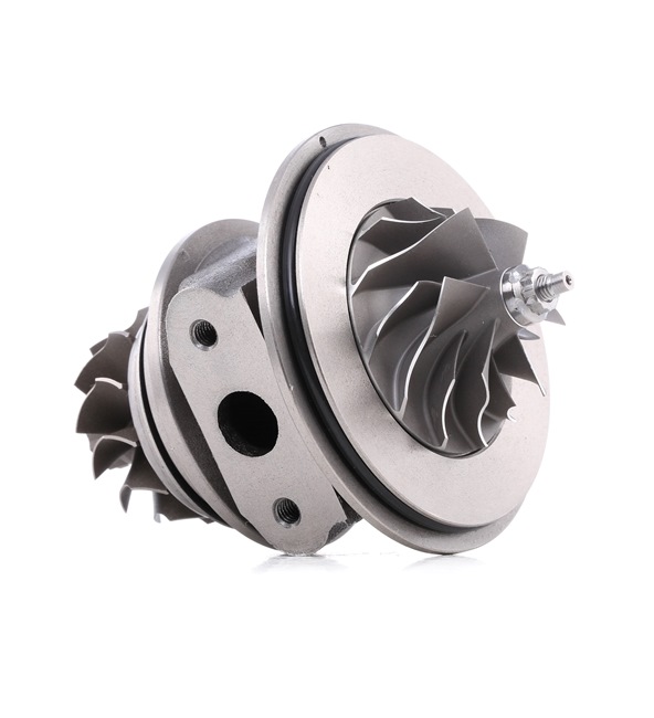 49S3105210 OE RIDEX CHRA turbo 4973C0080