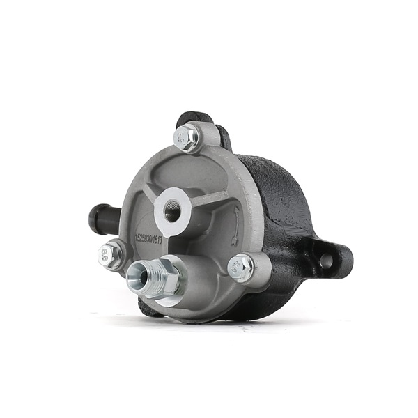 Original Mitsubishi OUTLANDER RIDEX Unterdruckpumpe 387V0084