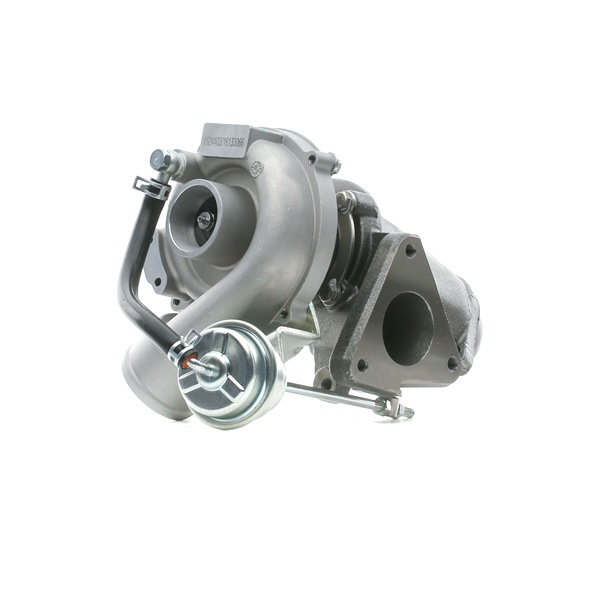 A6010960299 OE RIDEX Turbolader 2234C10163