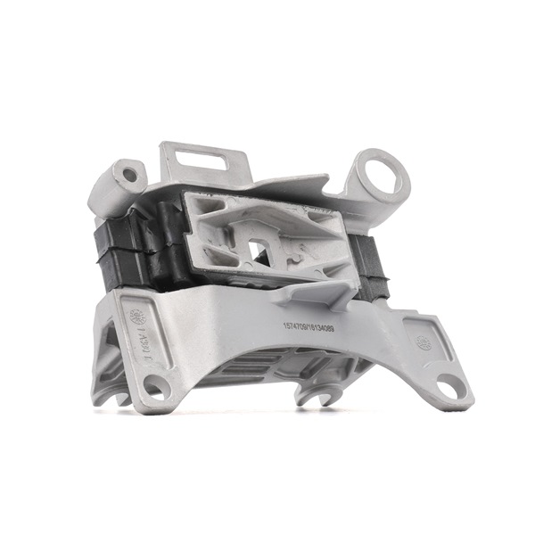 RIDEX 247E0603 Engine mounts Fluence (L3_) 1.5 dCi Diesel 90 hp 2024 price