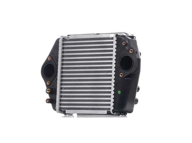 RIDEX 468I0161 Tarpinis suslėgto oro aušintuvas MAZDA 6 Universalas (GH) 2.2 MZR-CD (GH10) dyzelinas 163 AG 2009