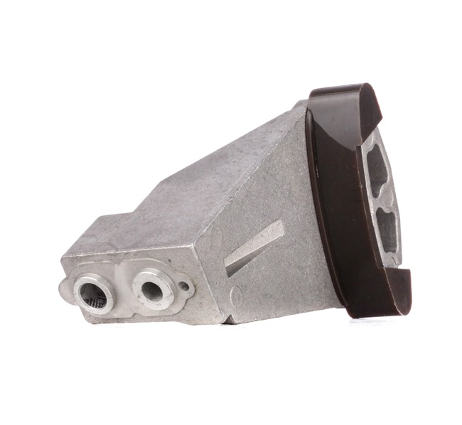 RIDEX 1075T0015 Glideskinne BMW 7 (E65, E66, E67) 740 i, Li Benzin 306 HK 2008 pris