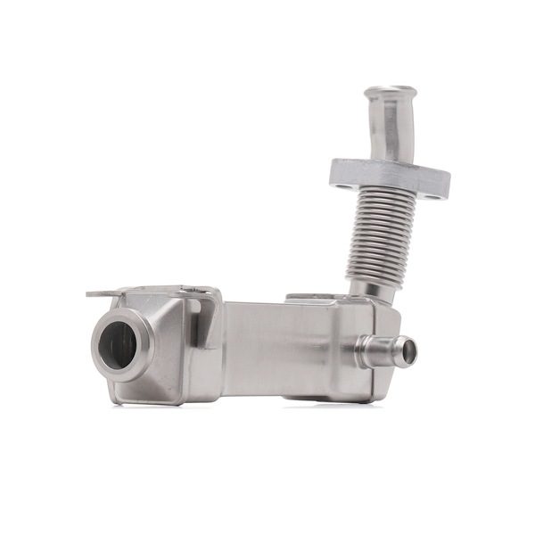 SKEGM-4810022 STARK Válvula EGR BMW Serie 5