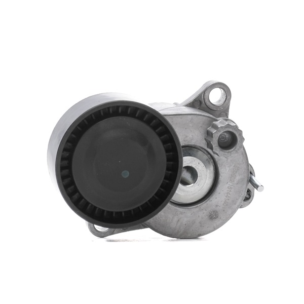 RIDEX 310T0393 Polia tensora S204 C 220 CDI 2.1 4-matic (204.284) Diesel 170 cv 2013 preço