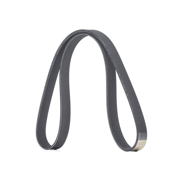 Correa trapecial poli V 6C1Q6C301BC RIDEX 305P0484
