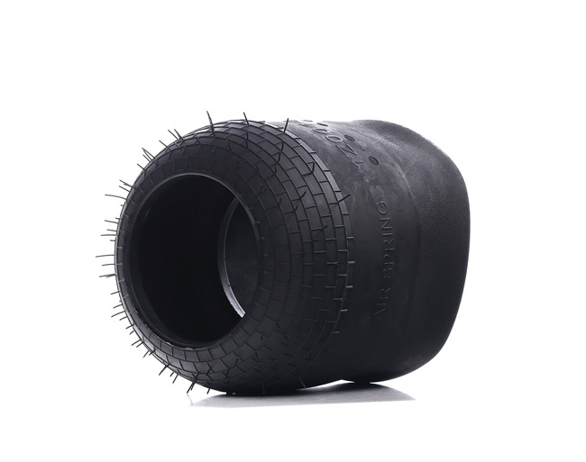 A0003270301 OE RIDEX Air Spring, suspension 4119A0059