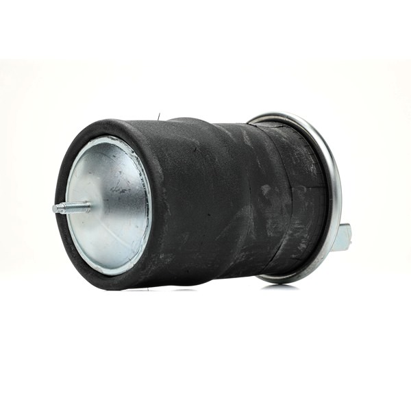 20531985 OE RIDEX Molla pneumatica 4119A0060