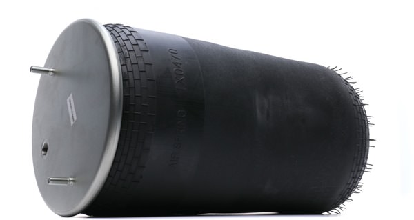 0542940010 OE RIDEX Пневматическая рессора, ходовая часть 4119A0061